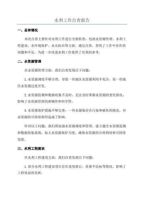水利工作自查报告