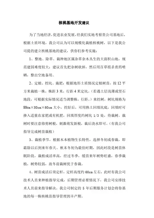 核桃基地开发建议