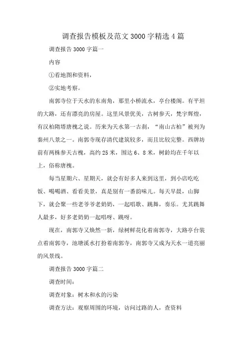 调查报告模板及范文3000字精选4篇