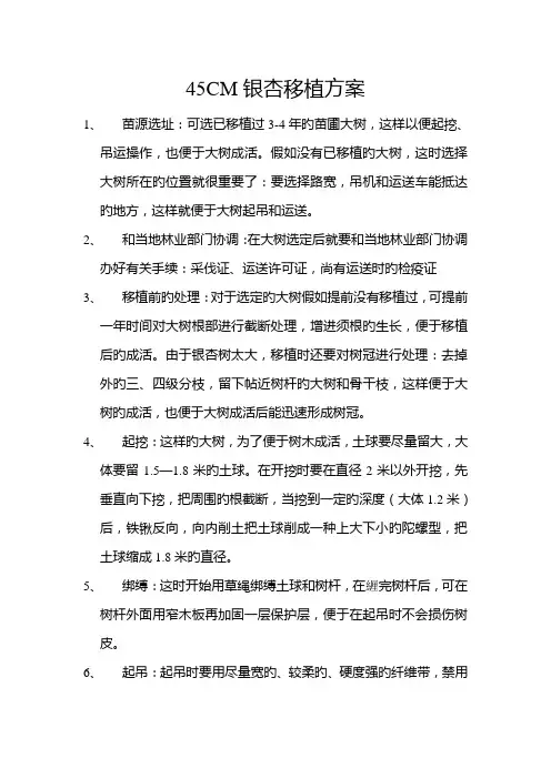 银杏移植方案