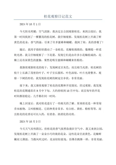 桂花观察日记范文