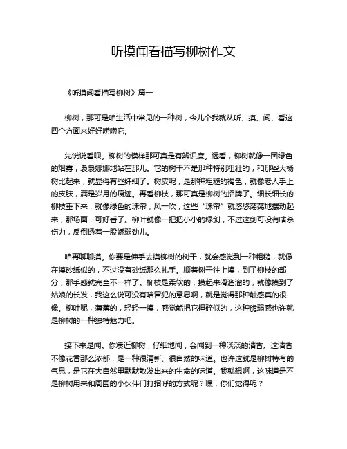 听摸闻看描写柳树作文