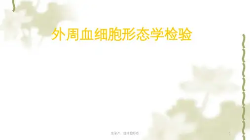 血涂片、红细胞形态ppt课件