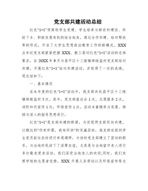 党支部共建活动总结