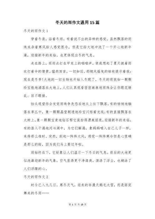 冬天的雨作文通用15篇