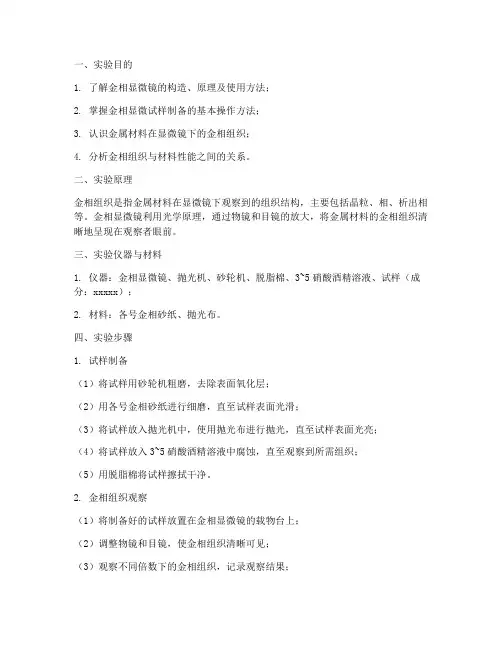 金相组织实验报告