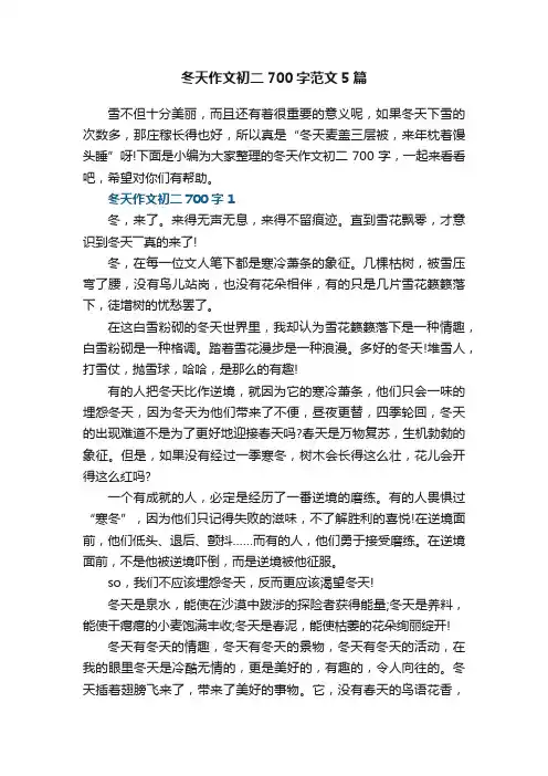 冬天作文初二700字范文5篇