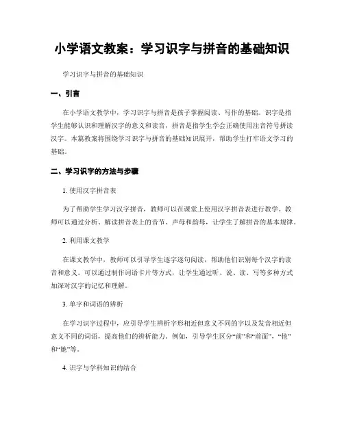 小学语文教案：学习识字与拼音的基础知识 (2)