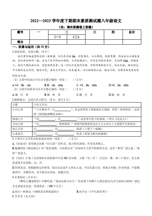 河南省驻马店市确山县2022-2023学年八年级下学期期末语文试题(含答案)