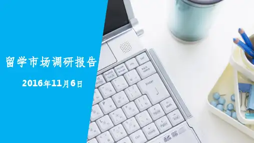 留学市场分析ppt课件