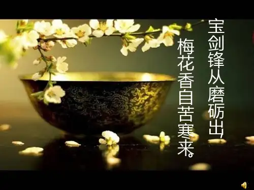 勇敢面对挫折和困难PPT课件