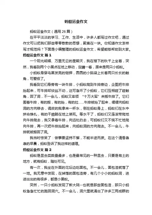 蚂蚁运食作文（通用26篇）