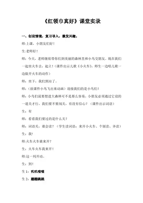语文二年级上册《红领巾真好》课堂实录