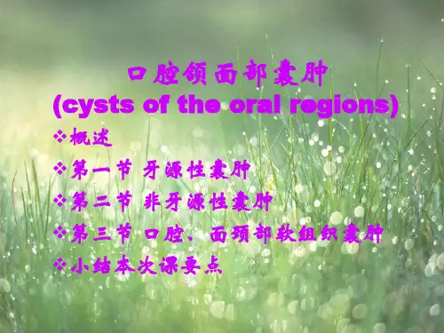 口腔颌面部囊肿 PPT