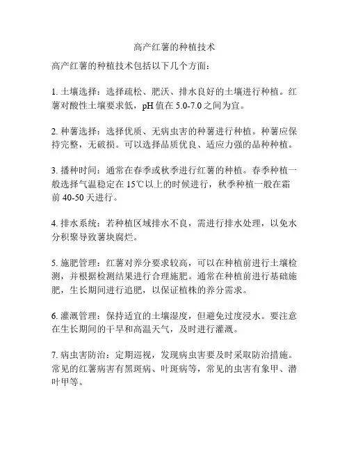 高产红薯的种植技术