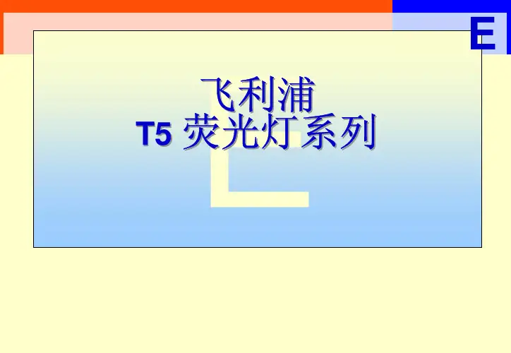 T5荧光灯系列