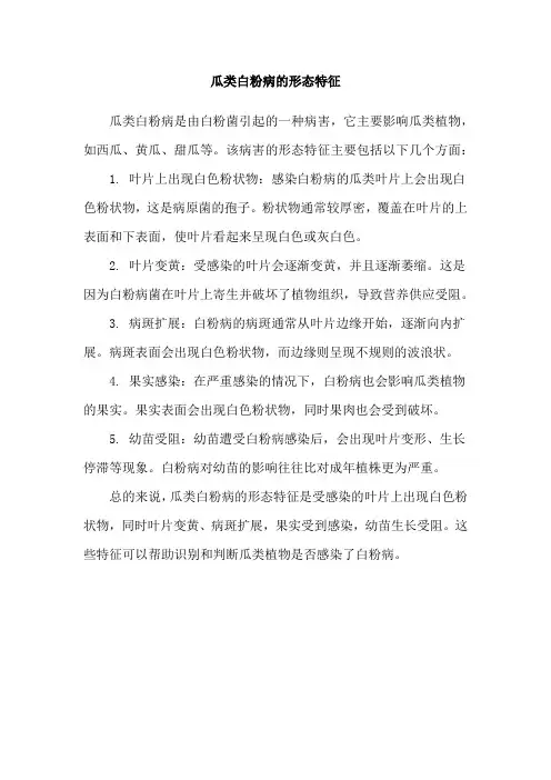 瓜类白粉病的形态特征