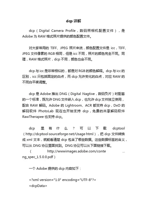 dcp详解