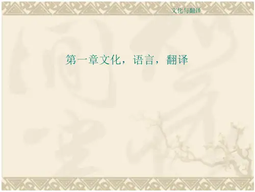 文化,语言,译
