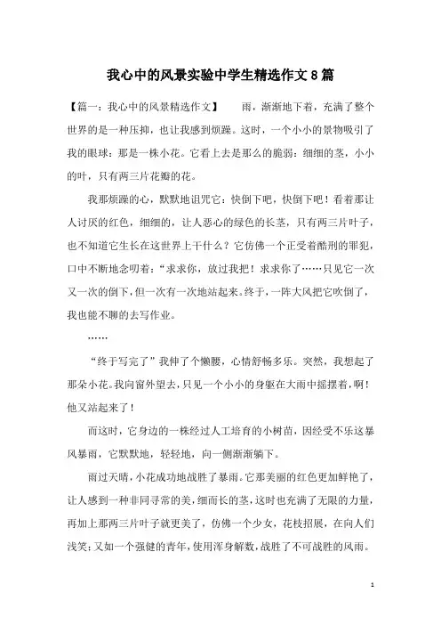 我心中的风景实验中学生精选作文8篇