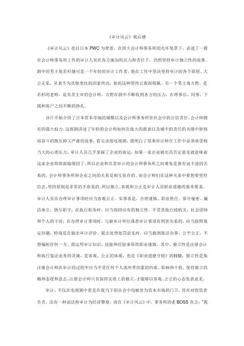 《审计风云》观后感