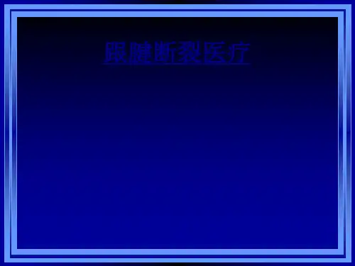跟腱断裂医疗讲义