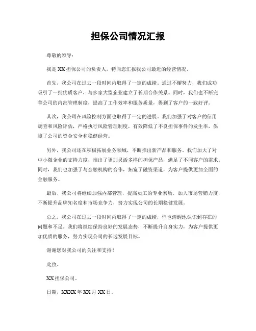 担保公司情况汇报