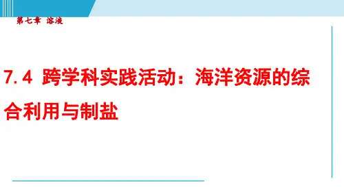 2024-2025学年科粤版九年级化学下册 7.4 跨学科实践活动：海洋资源的综合利用与制盐(课件)