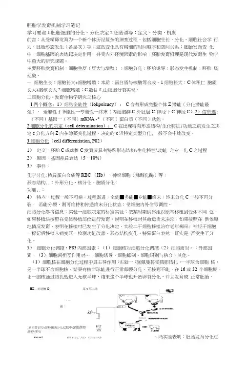 人体发育学复习要点5讲胚胎发育机制学习要点.docx