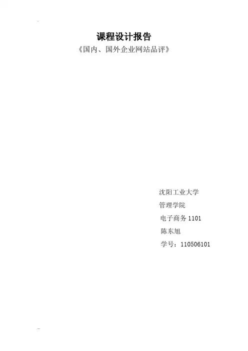 国内外网站分析比较