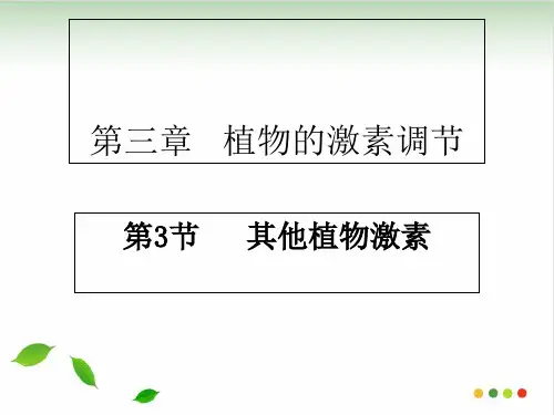 《其他植物激素》人教版高中生物实用PPT