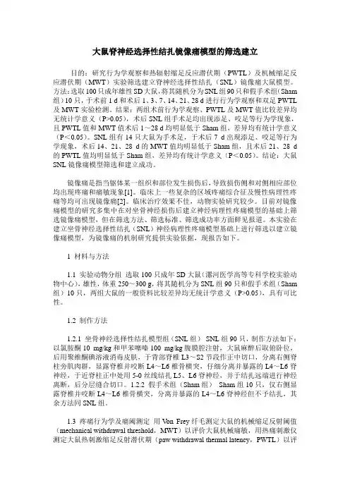大鼠脊神经选择性结扎镜像痛模型的筛选建立