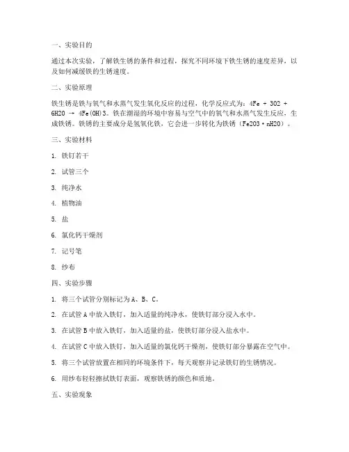 铁生锈小实验报告
