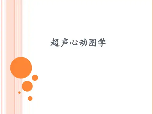 医学影像学：超声心动图学