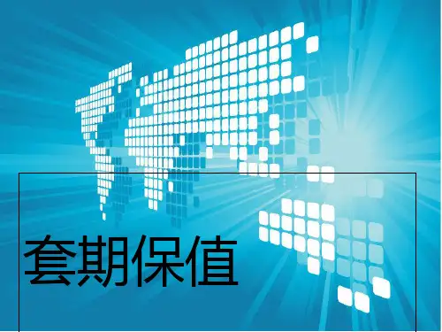 《套期保值》幻灯片PPT