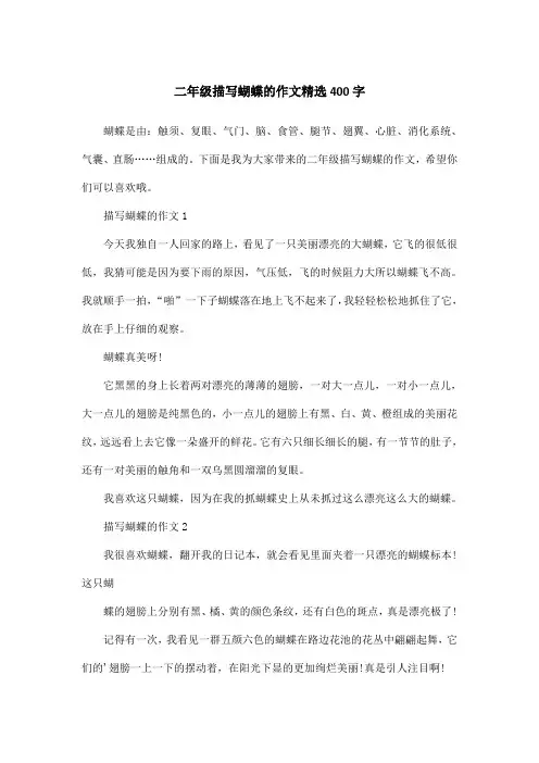 二年级描写蝴蝶的作文精选400字