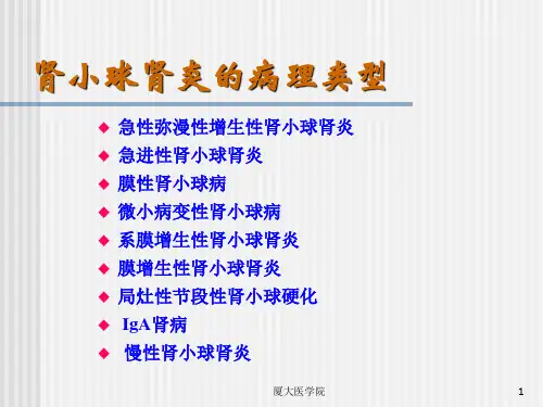 肾小球肾炎的病理类型