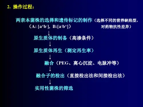 原核生物的基因重组(2)_PPT幻灯片