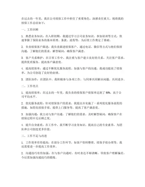 续保工作个人工作总结