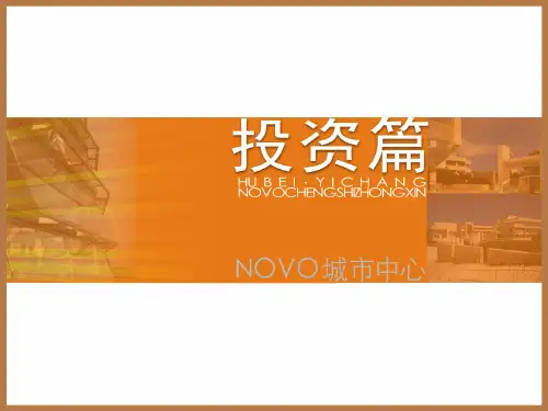 项目投入产出分析篇-七38页PPT文档