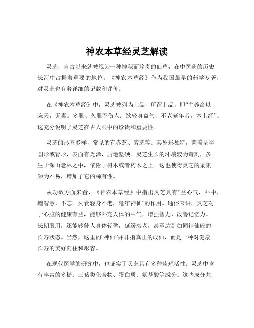 神农本草经灵芝解读