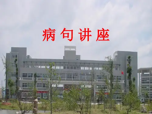《高考复习病句讲座一：语序不当》课件(89张PPT)