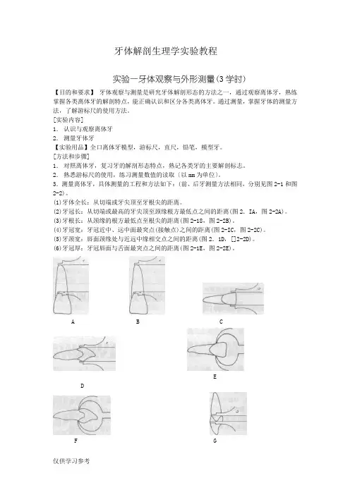 口腔解剖生理学实验指导