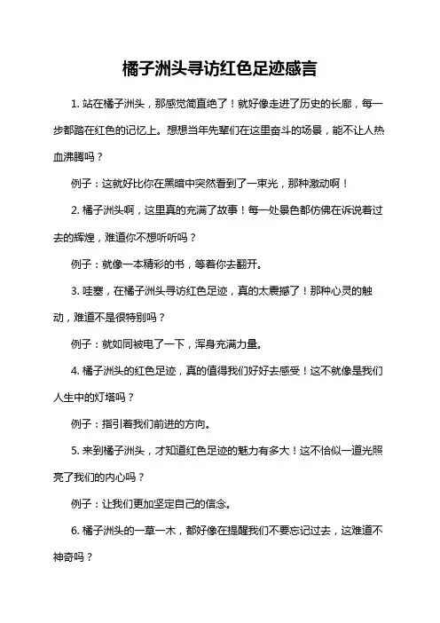 橘子洲头寻访红色足迹感言