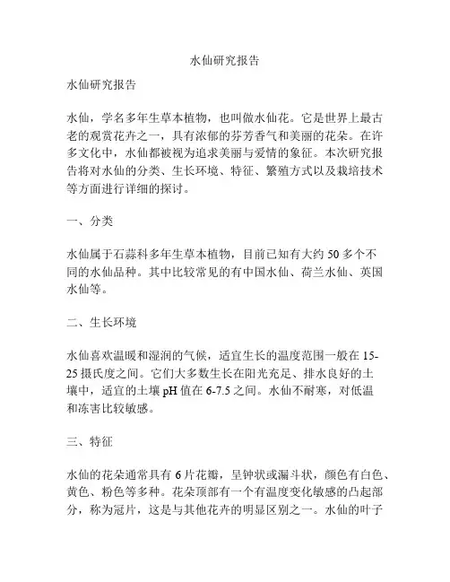 水仙研究报告