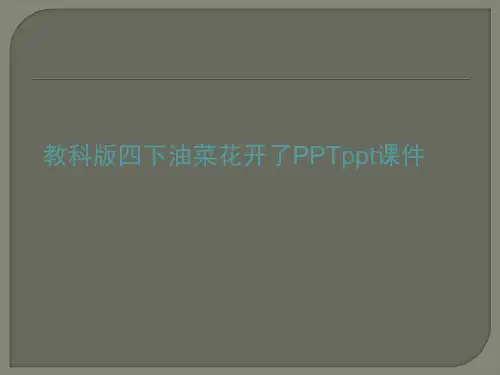 教科版四下油菜花开了PPTppt课件