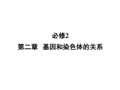高考生物一轮复习 第2章 第1节 减数分裂和受精作用课件 新人教版必修2