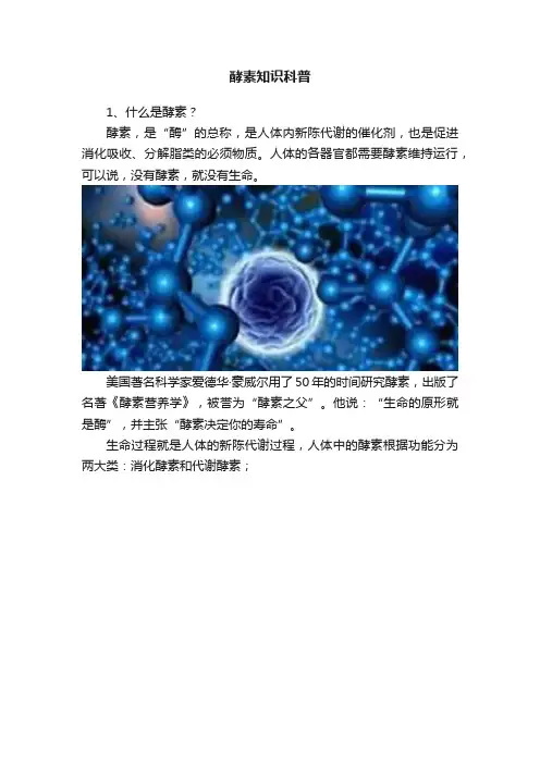酵素知识科普