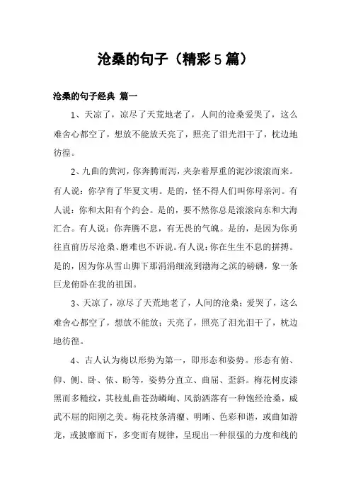 沧桑的句子(精彩5篇)