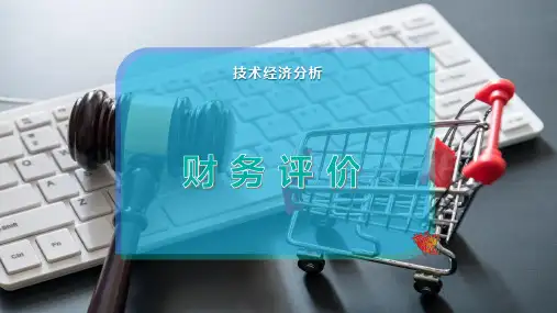 财 务 评 价